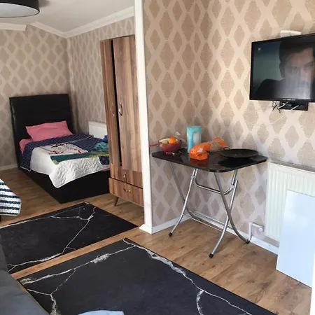 Decorated Comfortable Flat, Close To Chora Museum *